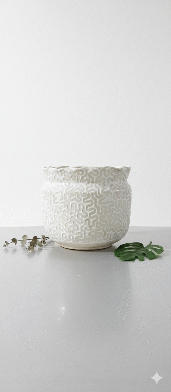 Gemini_Generated_Image_6dnwab6dnwab6dnw