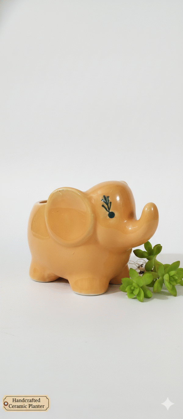 Gemini_Generated_Image_6ev5o26ev5o26ev5