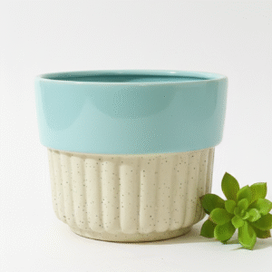 🌿 Elegant Two-Tone Ceramic Planter