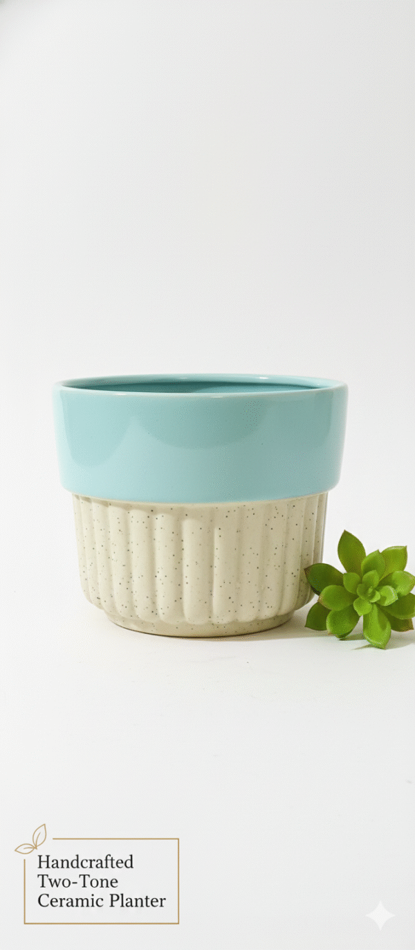 Gemini_Generated_Image_8163x08163x08163 Gemini_Generated_Image_8163x08163x08163