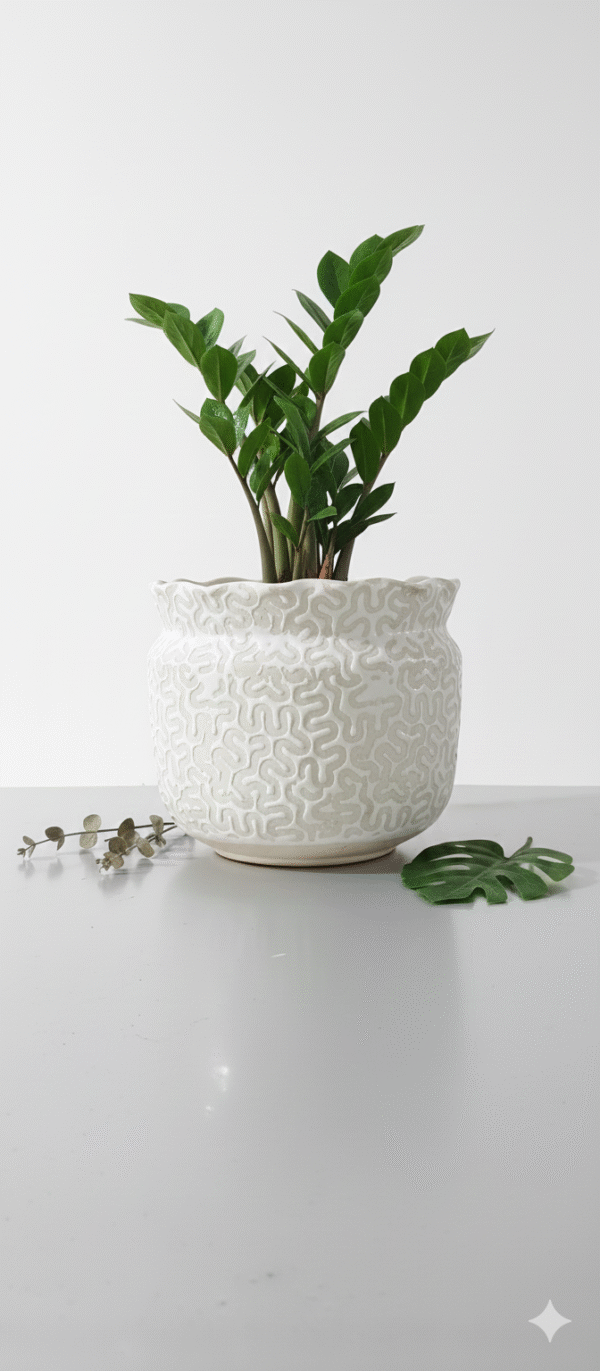 Gemini_Generated_Image_angt76angt76angt Gemini_Generated_Image_angt76angt76angt